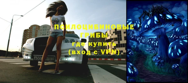 Альфа ПВП Строитель